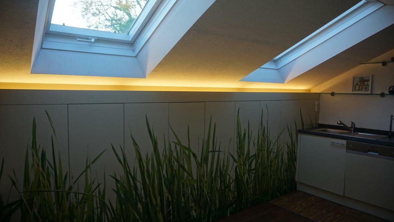 Ferienwohnung Schicker 格蒙登 外观 照片